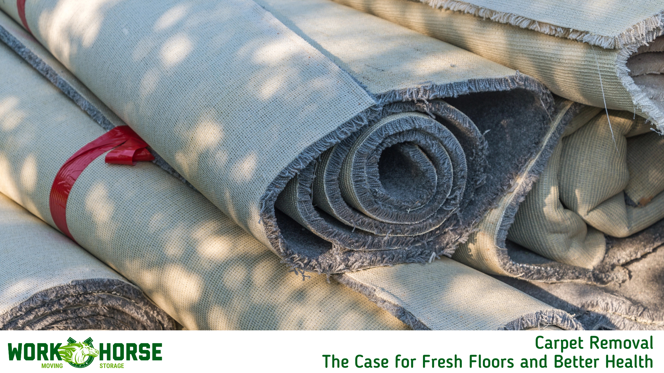 Carpet Removal | The Case for Fresh Floors and Better Health